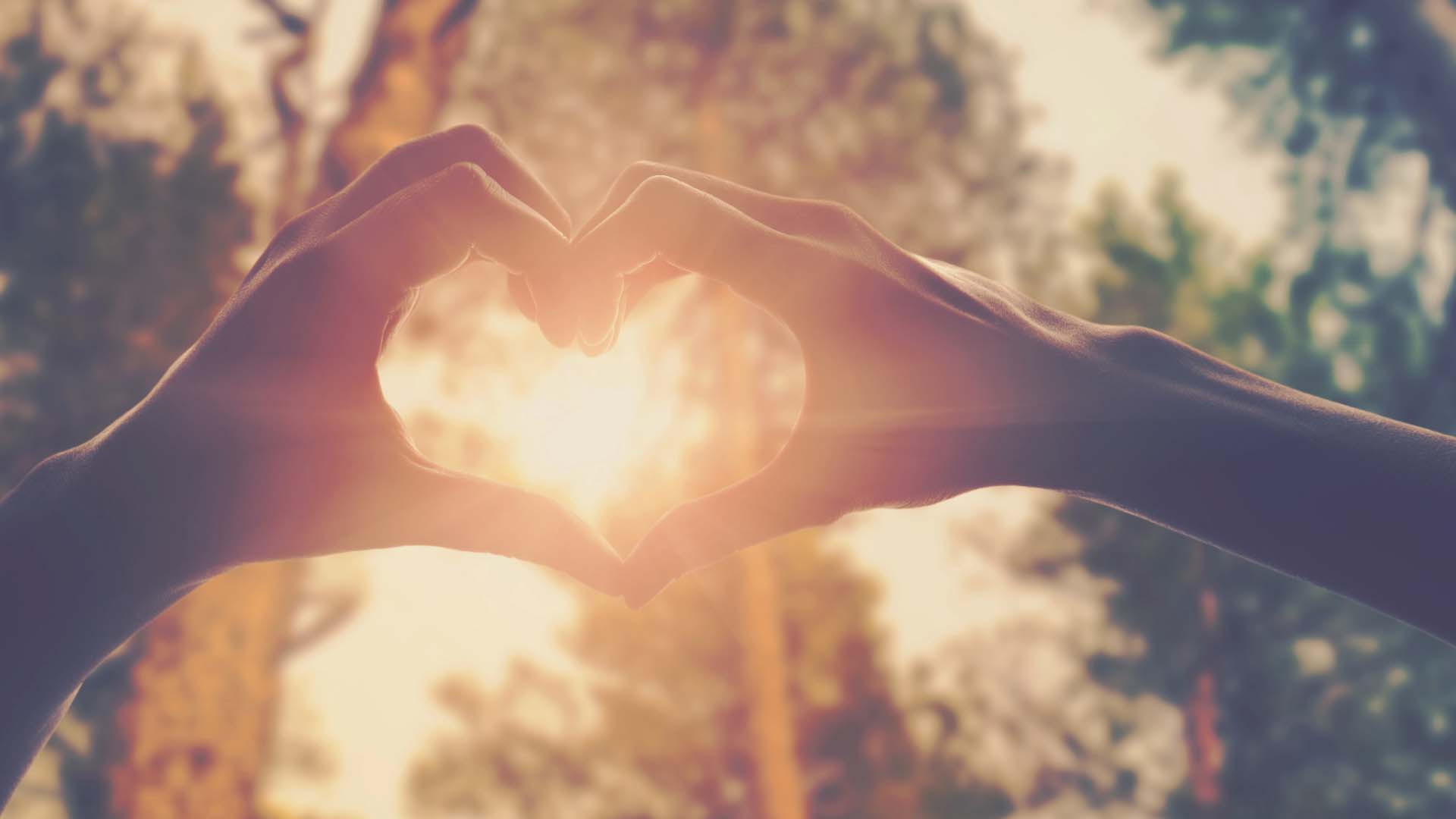 Read more about the article Connection in the 21st century